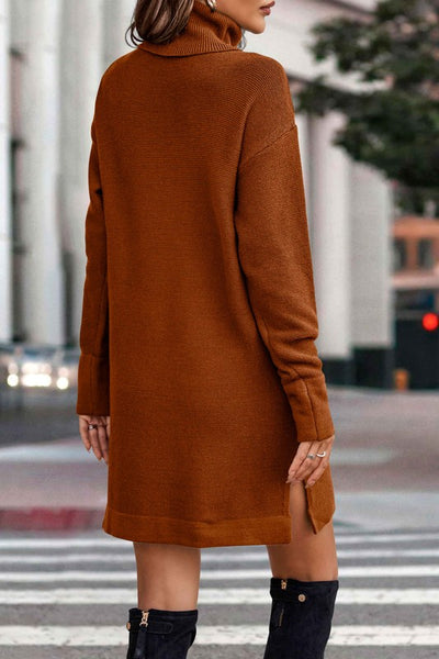 Turtleneck Cozy Sweater Dress