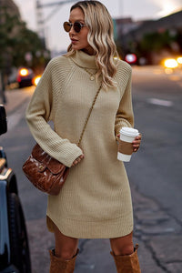 Chunky Turtleneck Sweater Dress