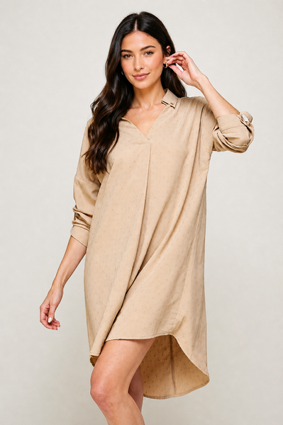 Everyday Breeze Swiss Dot Shirt Dress