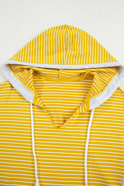 Sunny Stripe Colorblock Hoodie