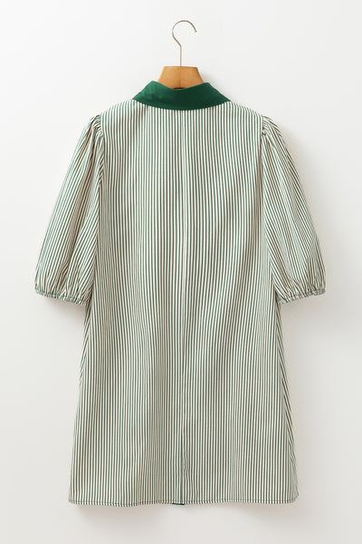 Sage Stripe Pocket Shirt Dress