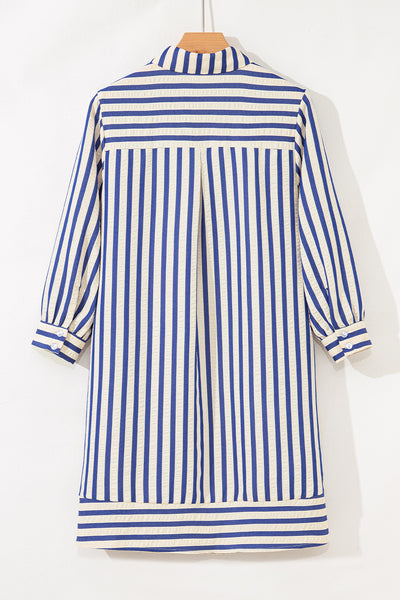 Harbor Stripe Shirt Dress