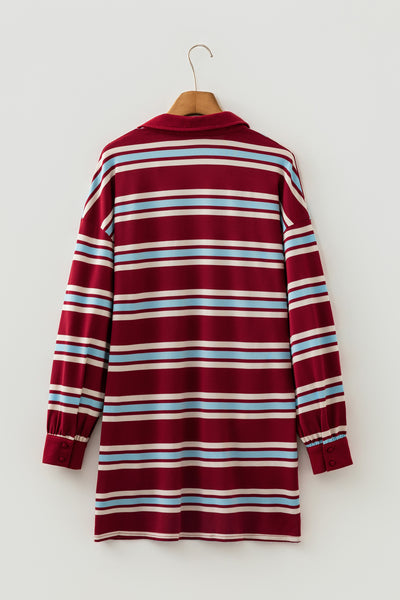 Varsity Spirit Stripe Polo Dress