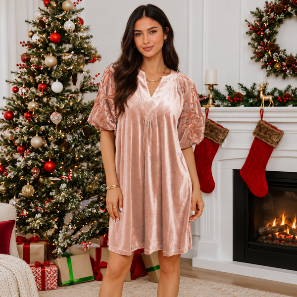 French Beige Embroidered Velvet Dress — shopify hero full square