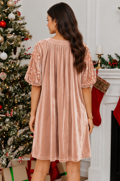 French Beige Embroidered Velvet Dress — lila back