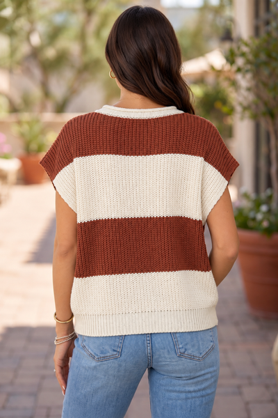 Canyon Stripe V-Neck Sweater — lila back